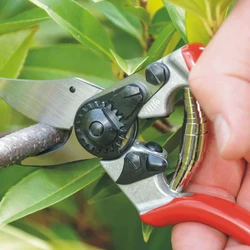 מזמרה ידנית FELCO פלקו 6