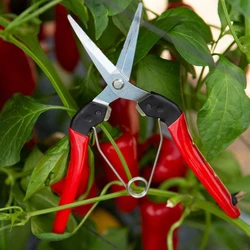 מזמרה ידנית FELCO פלקו 322 מקטפה קלאסית