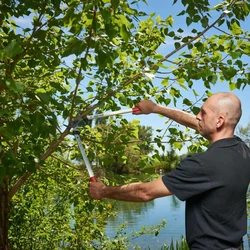 מזמרת כוח FELCO פלקו 211 סדן אורך 60 ס"מ